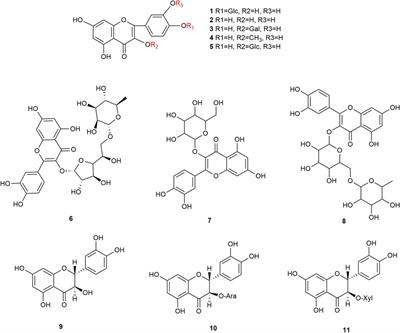 Chemical composition, biological activities, and quality standards of hawthorn leaves used in traditional Chinese medicine: a comprehensive review